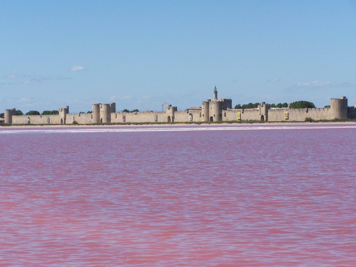 Prés Des Remparts Hébergement de vacances Aigues-Mortes