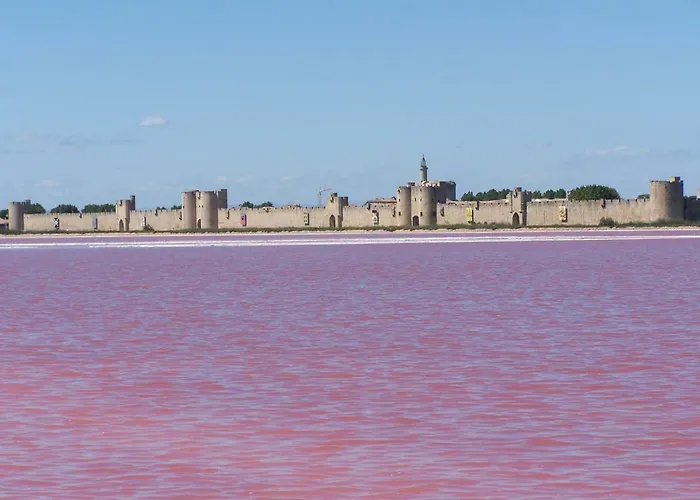 Aigues-Mortes Villa Pres Des Remparts